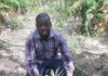 HAMIDOU DIAWARA : Tout pour l’agriculture biologique