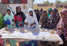 PAPSE-CADJ : 85 femmes déplacées internes renforcées